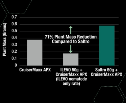 Soybean seed treatment trials show Saltro helps establish more plant mass under soybean cyst nematode pressure.